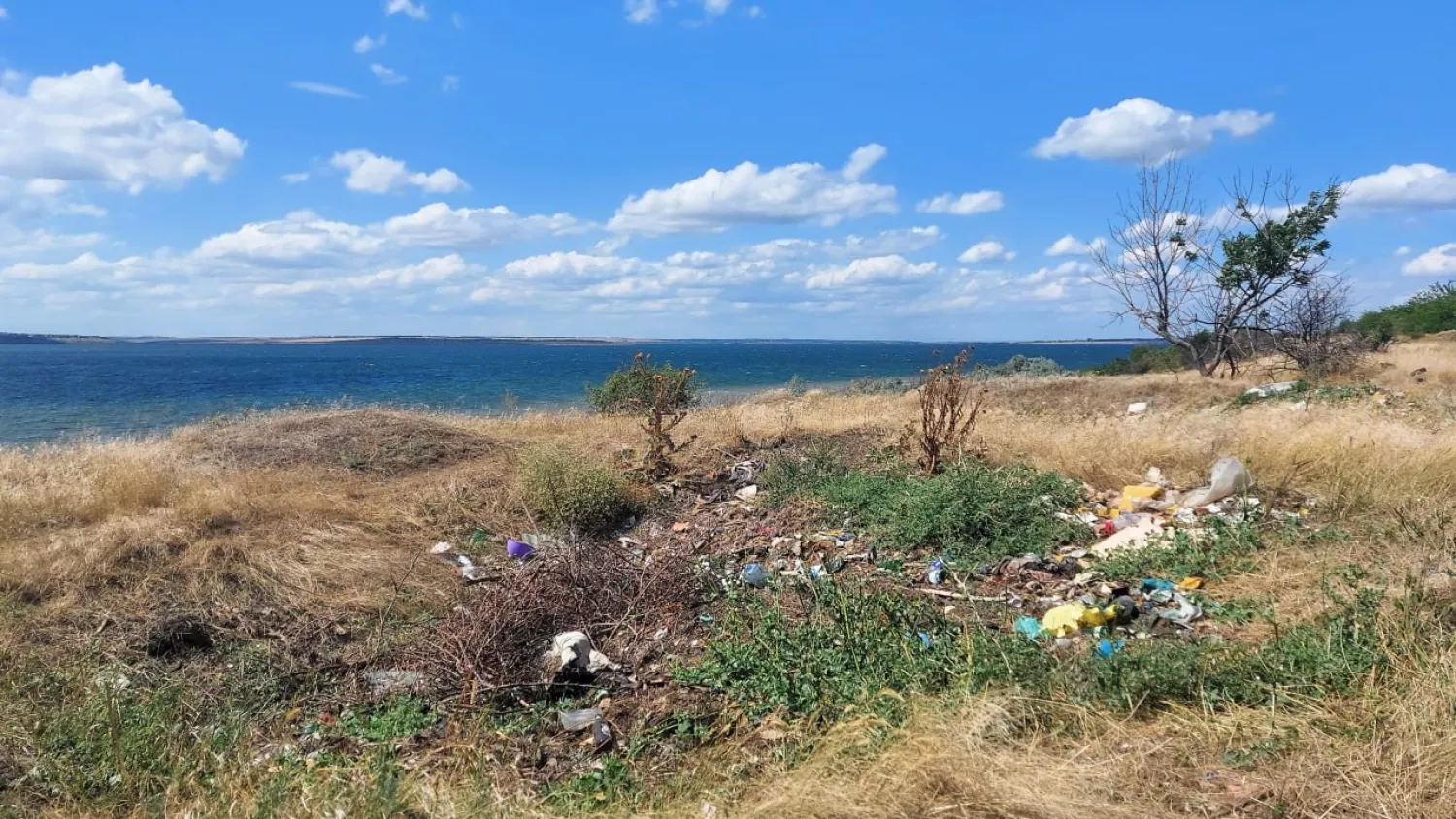 Несанкціоноване сміттєзвалище у Коблівській громаді. Фото екоінспекція
