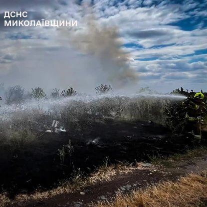 Рятувальники ліквідують пожежі на Миколаївщині. Фото: ДСНС
