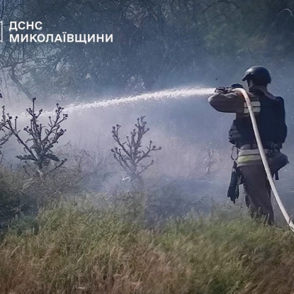 Рятувальники ліквідують пожежі на Миколаївщині. Фото: ДСНС