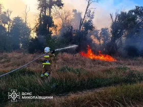 Кількість пожеж в екосистемах Миколаївщини скоротилася майже вдвічі з початку року. Ілюстративне фото: ДСНС Миколаївщини