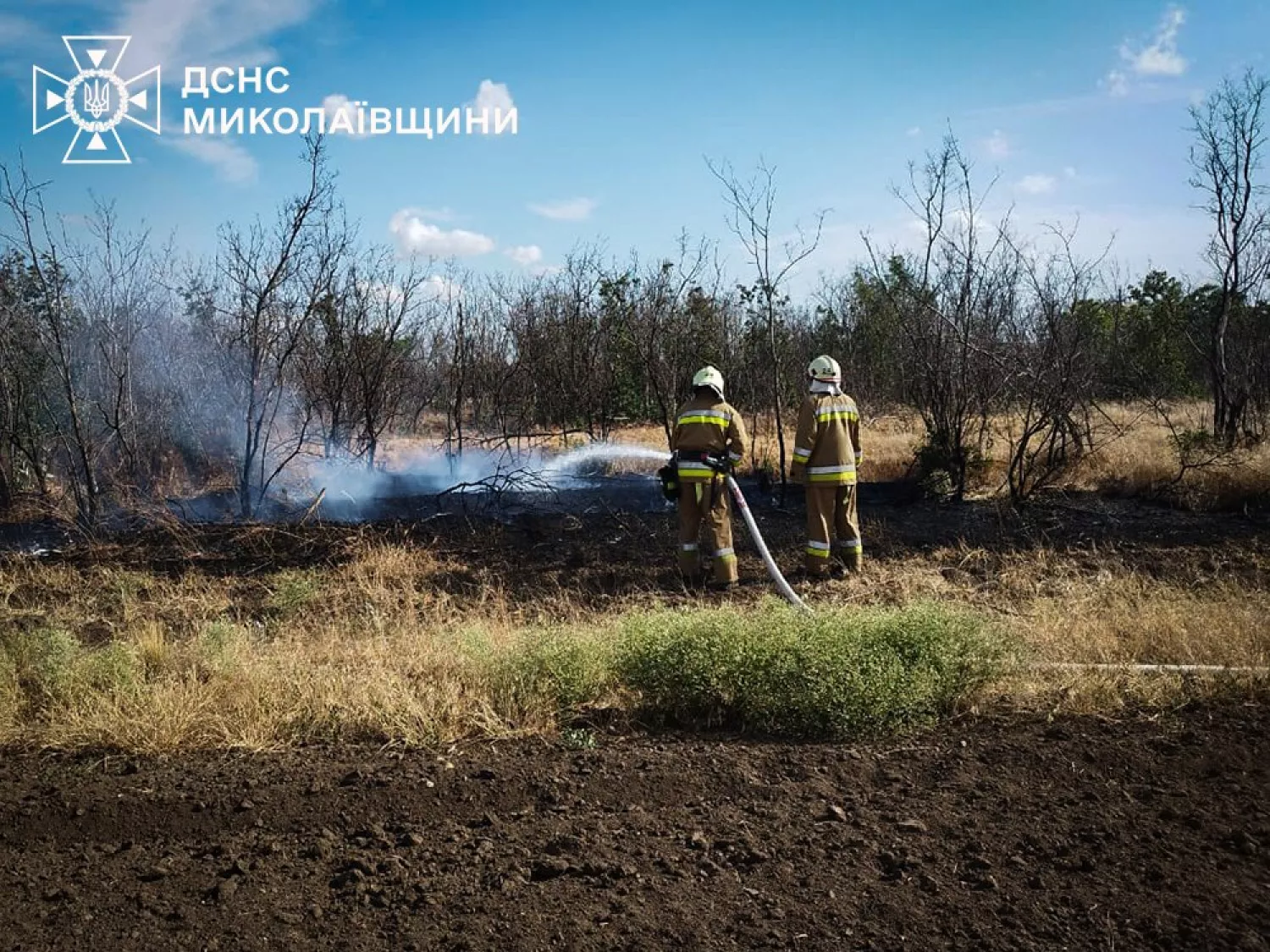 На Миколаївщині за добу рятувальники загасили 37 пожеж. Фото: ДСНС Миколаївщини
