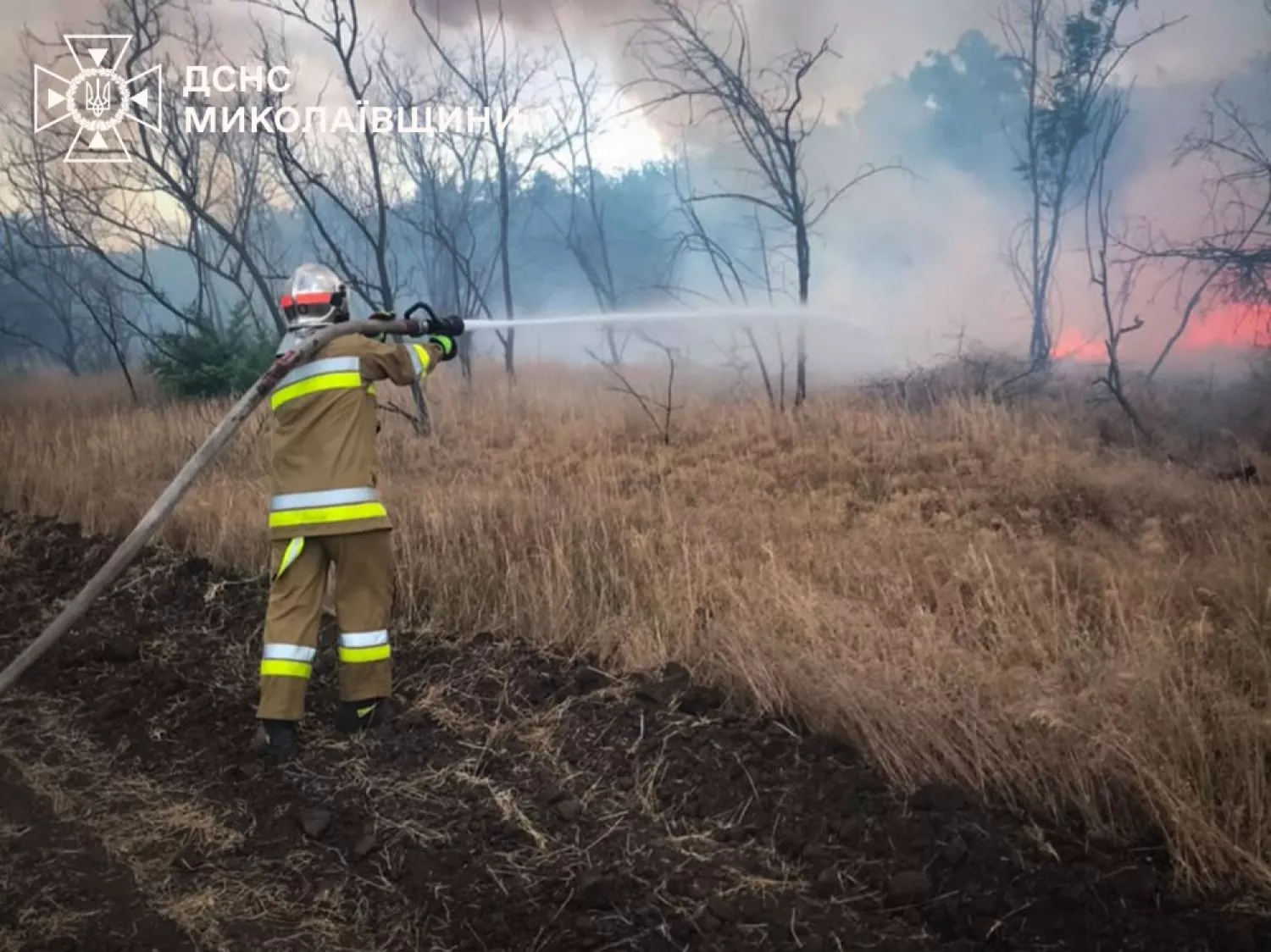 На Миколаївщині за добу рятувальники загасили 37 пожеж. Фото: ДСНС Миколаївщини