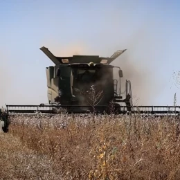 Зерсонські аграрії розповіли про жнива під дронами. Скриншот з відео: МОСТ