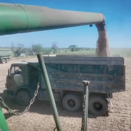 Зерсонські аграрії розповіли про жнива під дронами. Скриншот з відео: МОСТ