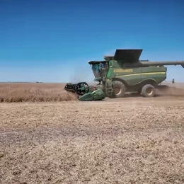 Зерсонські аграрії розповіли про жнива під дронами. Скриншот з відео: МОСТ