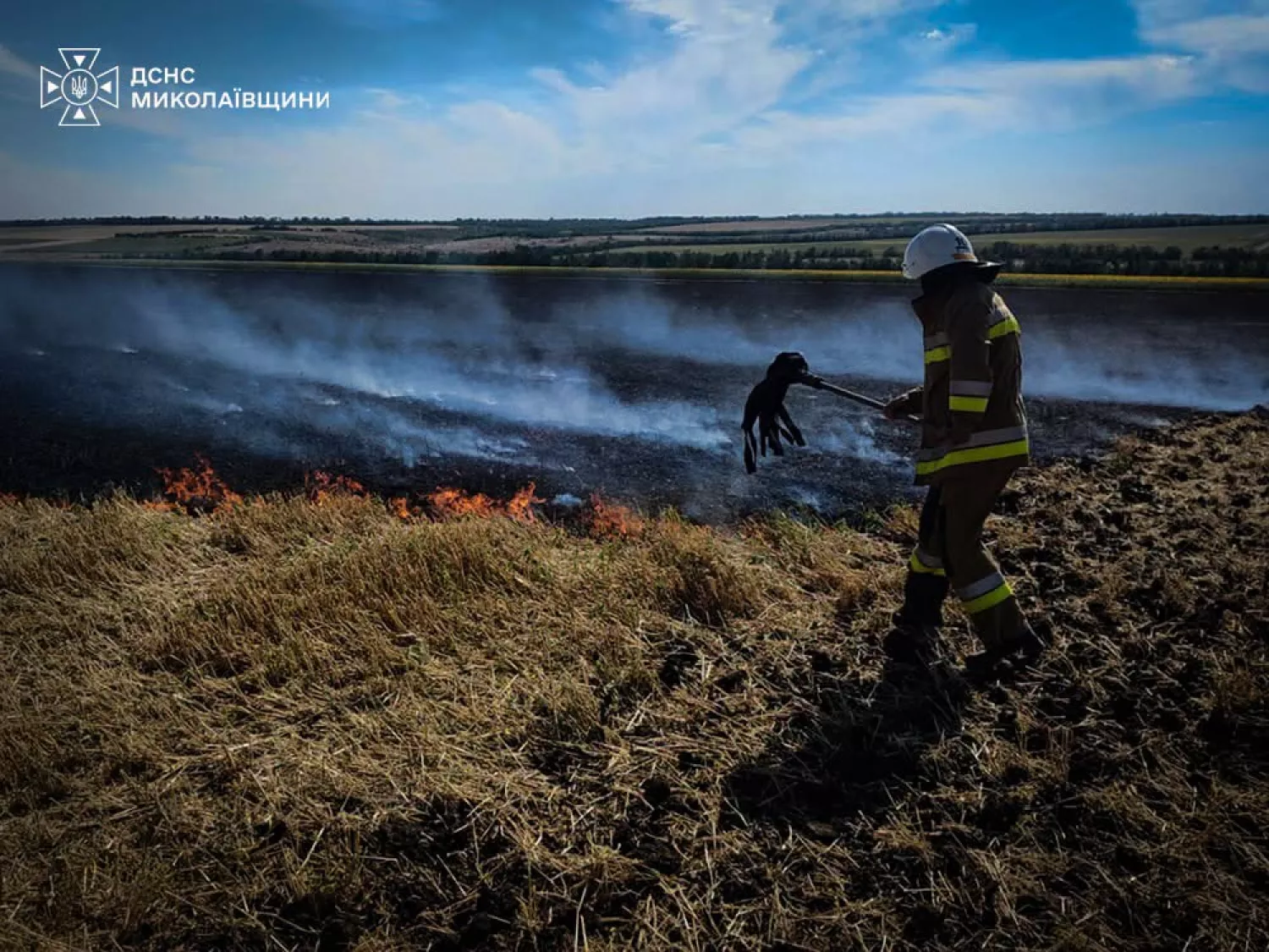 Пожежа у Миколаївській області. Фото: ДСНС