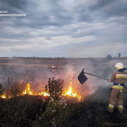 Пожежа у Миколаївській області. Фото: ДСНС