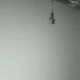 Стан укриття на проспекті Центральному. Скриншот з відео