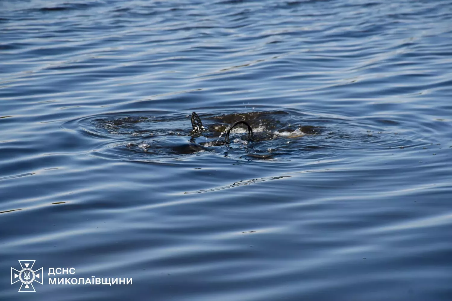 Водолаз шукає людину під водою. Фото: ДСНС