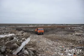 Збитки довкіллю від російської агресії за тиждень зросли майже на ₴110 млрд. Ілюстративне фото: МикВісті