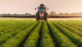 Понад 26 млн тонн ранніх зернових та зернобобових зібрали аграрії України. Ілюстративне фото: UKR.NET