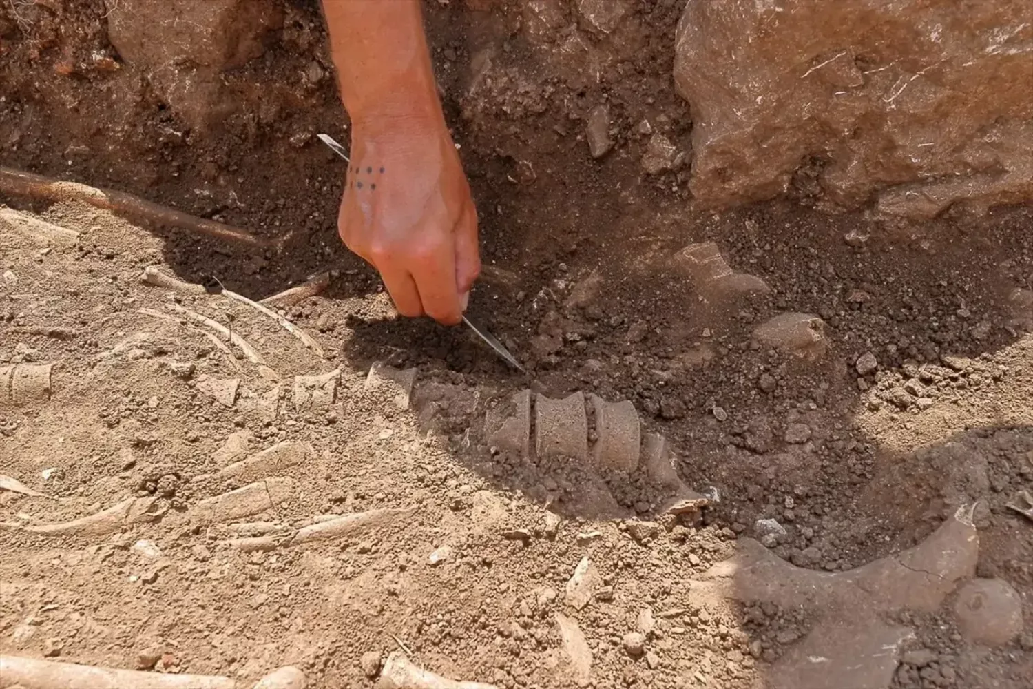 У Туреччині знайшли давні гробниці віком 2300 років. Фото: аrkeonews. аа