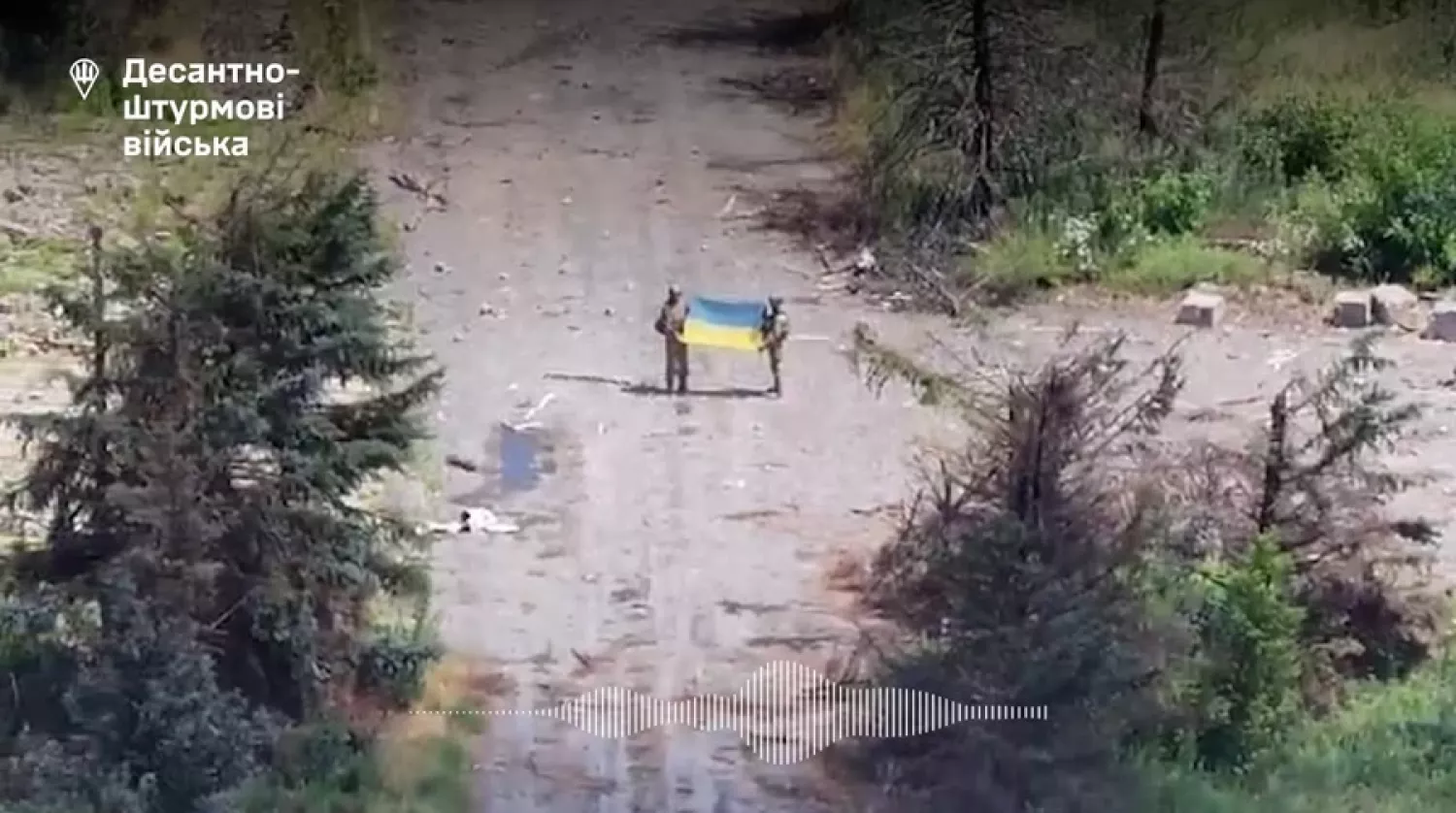 ЗСУ під час наступу повернули 26 населених пунктів. Скриншот з відео ДШВ України
