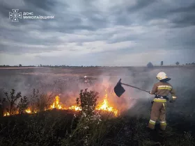 З початку року на Миколаївщині через пожежі вигоріло понад 1,8 тис. гектарів. Ілюстративне фото: ДСНС