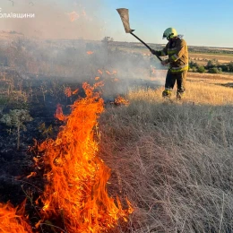 Ліквідація пожежі у Миколаївській області. Фото: ДСНС