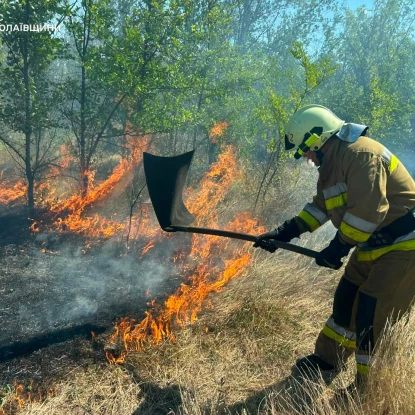 Ліквідація пожежі у Миколаївській області. Фото: ДСНС