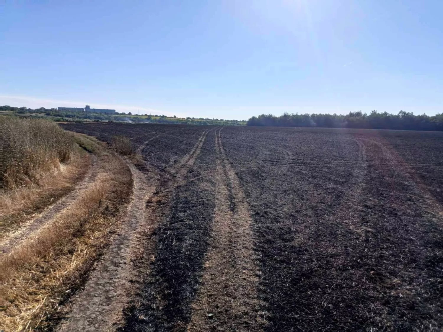 Біля Арбузинки оштрафували чоловіка за спалювання стерні. Фото Держекоінспекції