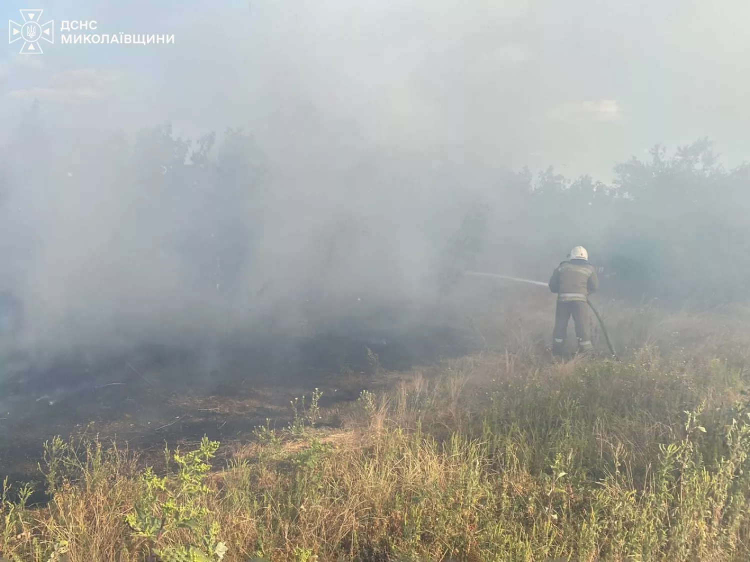 На Миколаївщині вигоріло 18 га території. Фото: ДСНС