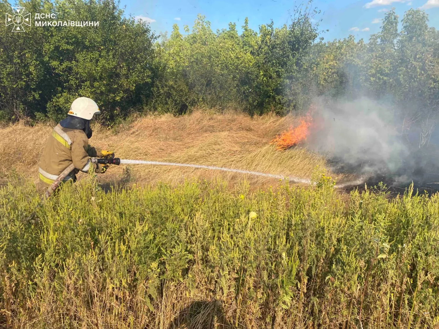 На Миколаївщині вигоріло 18 га території. Фото: ДСНС