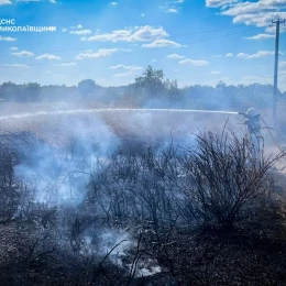Ліквідація пожежі у Миколаївській області. Фото: ДСНС