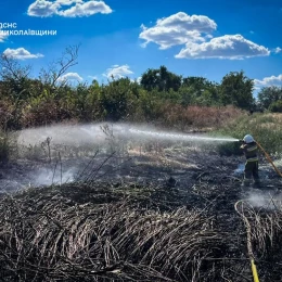 Ліквідація пожежі у Миколаївській області. Фото: ДСНС