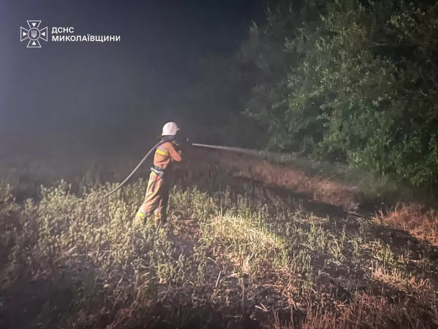 Ліквідація пожежі у Миколаївській області. Фото: ДСНС