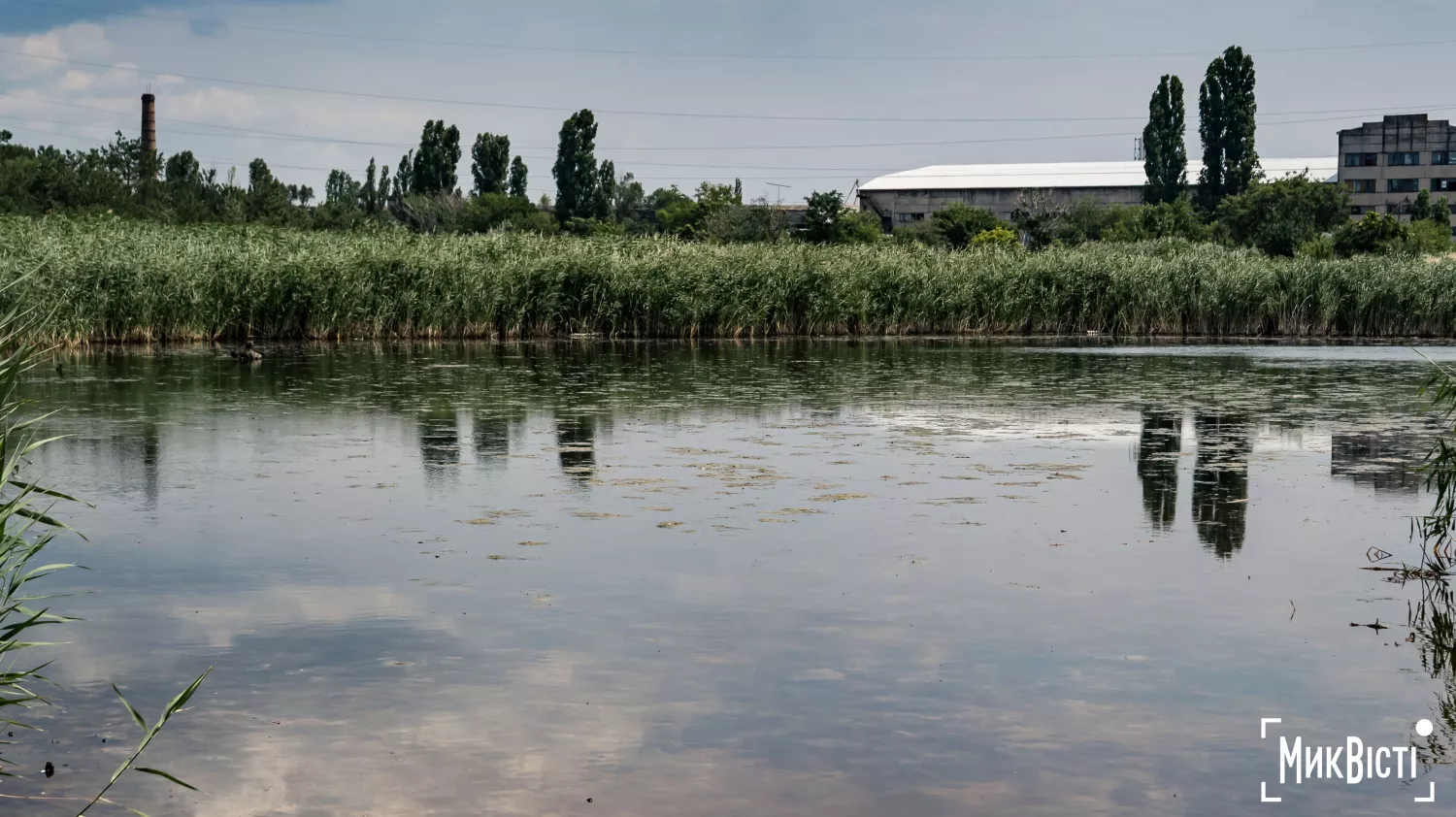 Стан озера у парку «Ліски». Фото: МикВісті, 17 липня