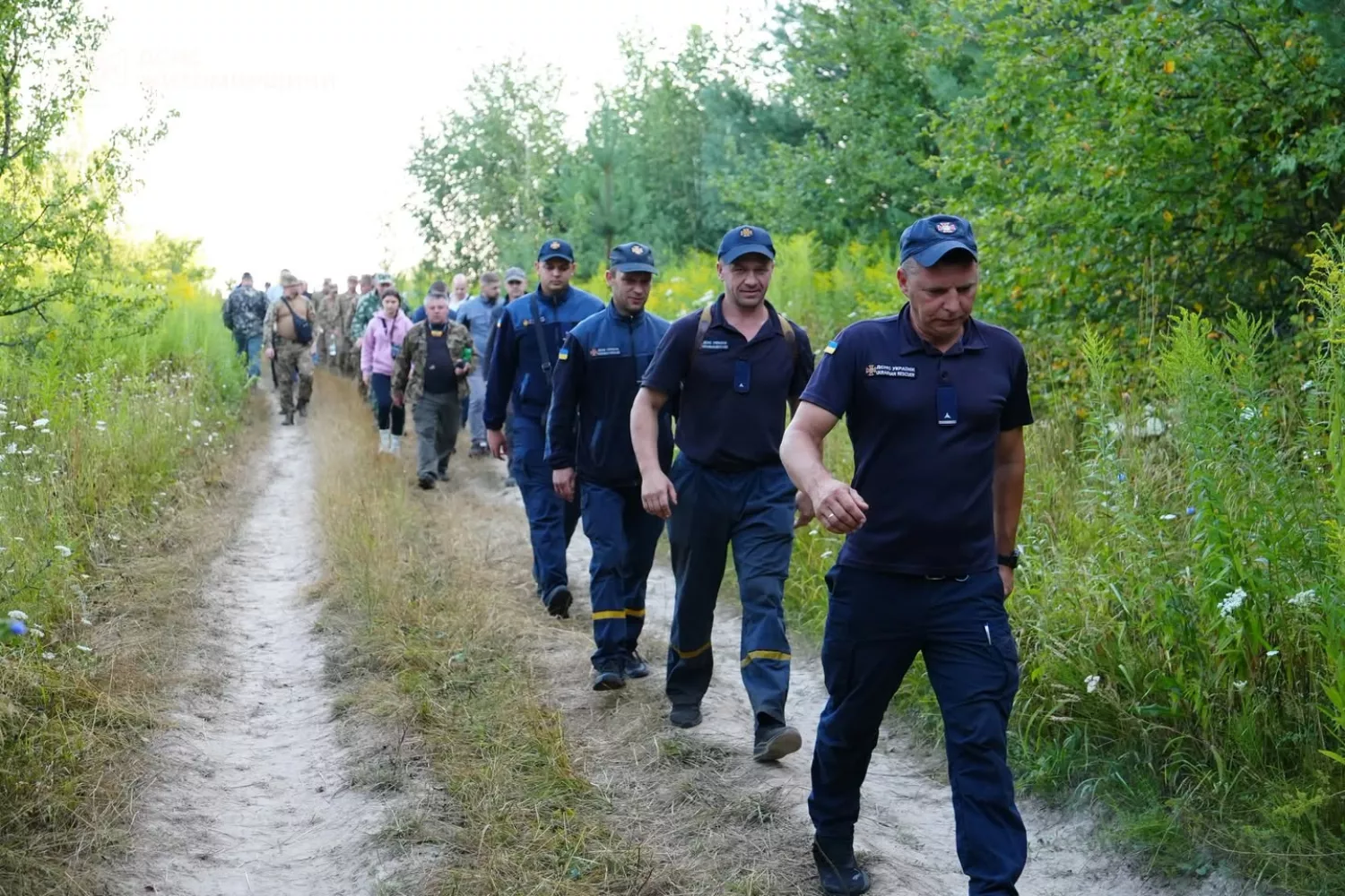 На Житомирщині 240 людей всю ніч шукали маленького хлопчика, який заблукав у лісі. Фото: ДСНС