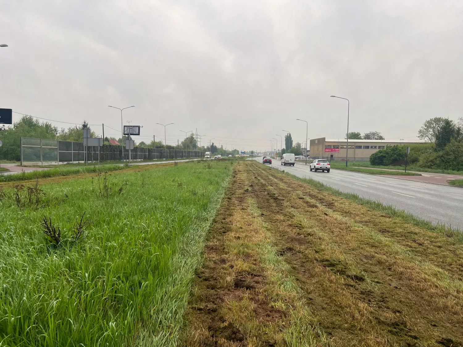 У Кракові облаштовували луки уздовж міських вулиць, фото: Управління зелені Кракова