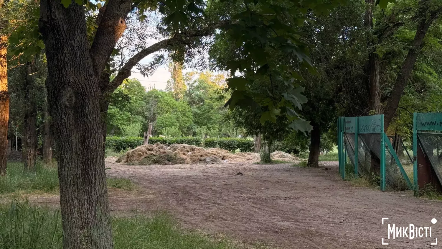 Скошена трава у парку Юність у Миколаєві, фото «НикВести»