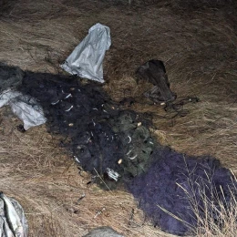 Чоловік незаконно виловив понад 30 рибин у Березанському лимані. Фото: Держекоінспекція