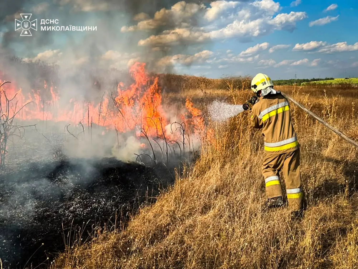 Пожежі на Миколаївщині. Фото: ДСНС