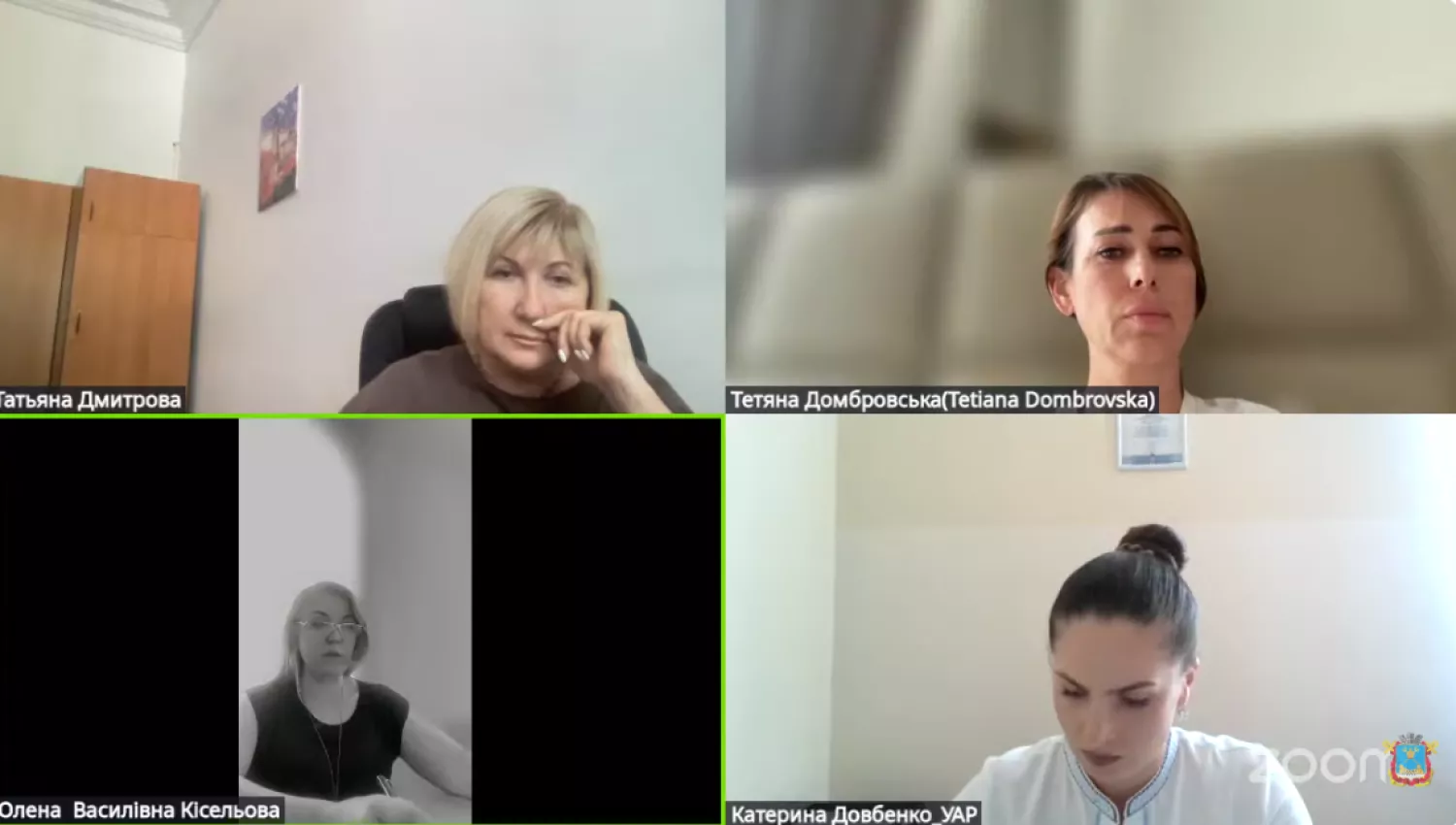 Засідання комісії з питань законності. Скриншот з трансляції