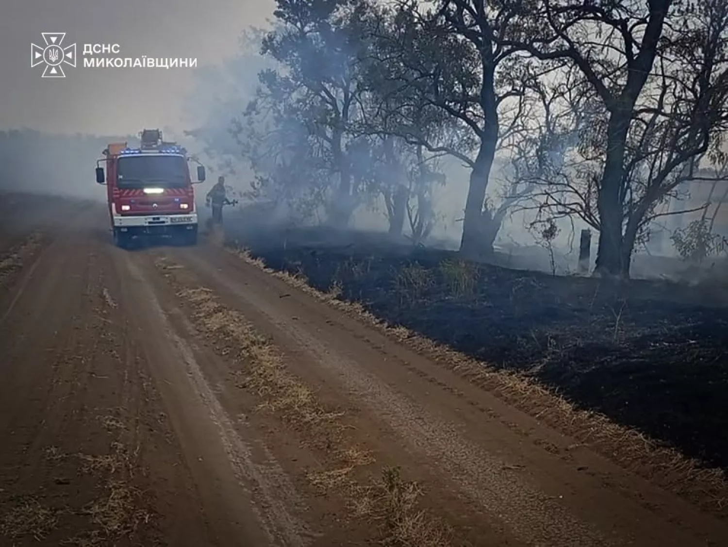 Наслідки пожежі у Миколаївській області. Фото: ДСНС