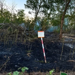 Через падіння уламків безпілотника на Херсонщині вигоріло 27 га лісу. Фото: ДП 