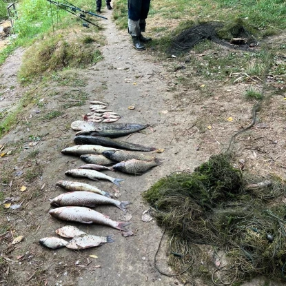 На Одещині чоловік незаконно наловив риби на понад ₴103 тис. Фото: Держекоінспекція