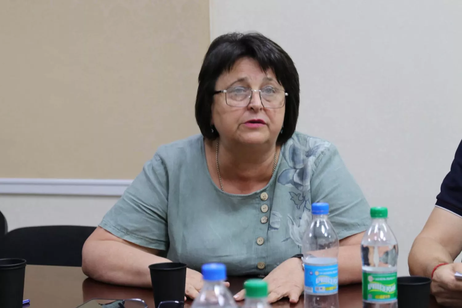 Онлайн-обговорення проєкту спроможної мережі Миколаївської області. Фото: Миколаївська обласна рада