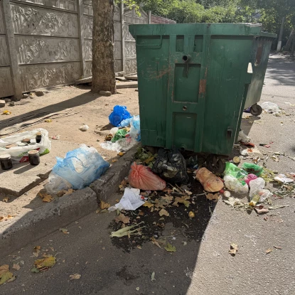 На Намиві сміттєві баки постійно переповнені: мешканці звинувачують ринок. Фото: МикВісті
