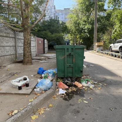 На Намиві сміттєві баки постійно переповнені: мешканці звинувачують ринок. Фото: МикВісті