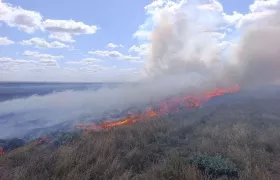 Пожежа у заповіднику