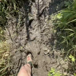 Воду з поля відкачували власними силами закладу. Скриншот з відео ДЮСШ №5