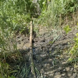 Воду з поля відкачували власними силами закладу. Скриншот з відео ДЮСШ №5