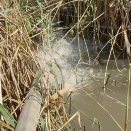 Воду з поля відкачували власними силами закладу. Скриншот з відео ДЮСШ №5