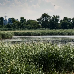 Парк «Ліски». Фото: НикВести