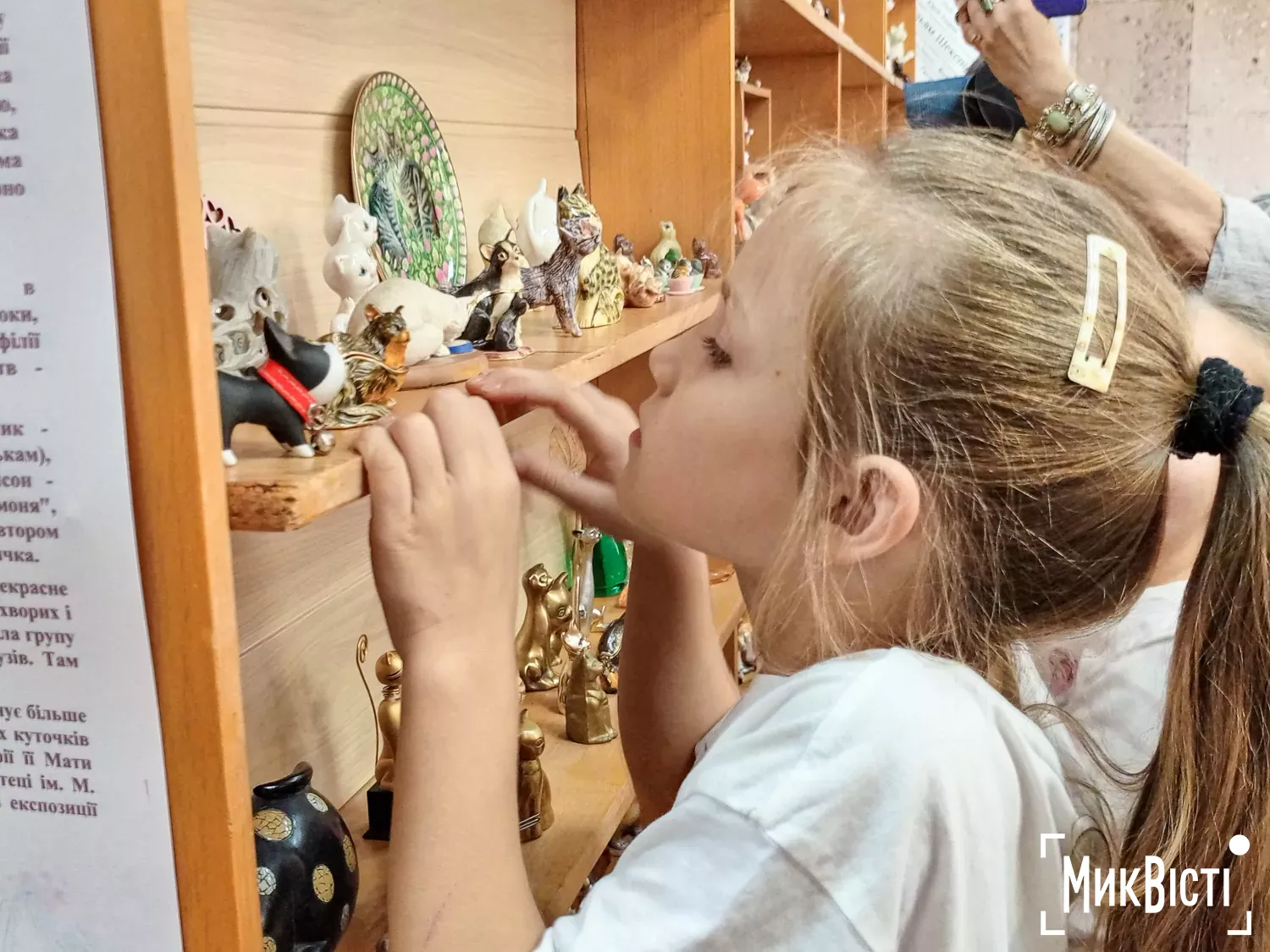 У Миколаєві презентували унікальну колекцію котів. Фото: НикВести