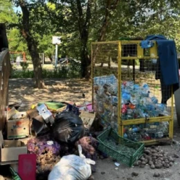 У Миколаєві на вулиці Південній прибрали сміття біля контейнерів. Фото Державна екологічна інспекція