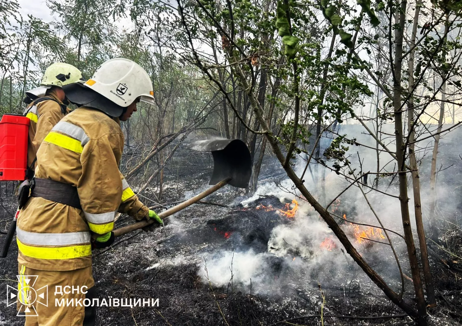 Рятувальники ліквідовують пожежу. Фото: ДСНС