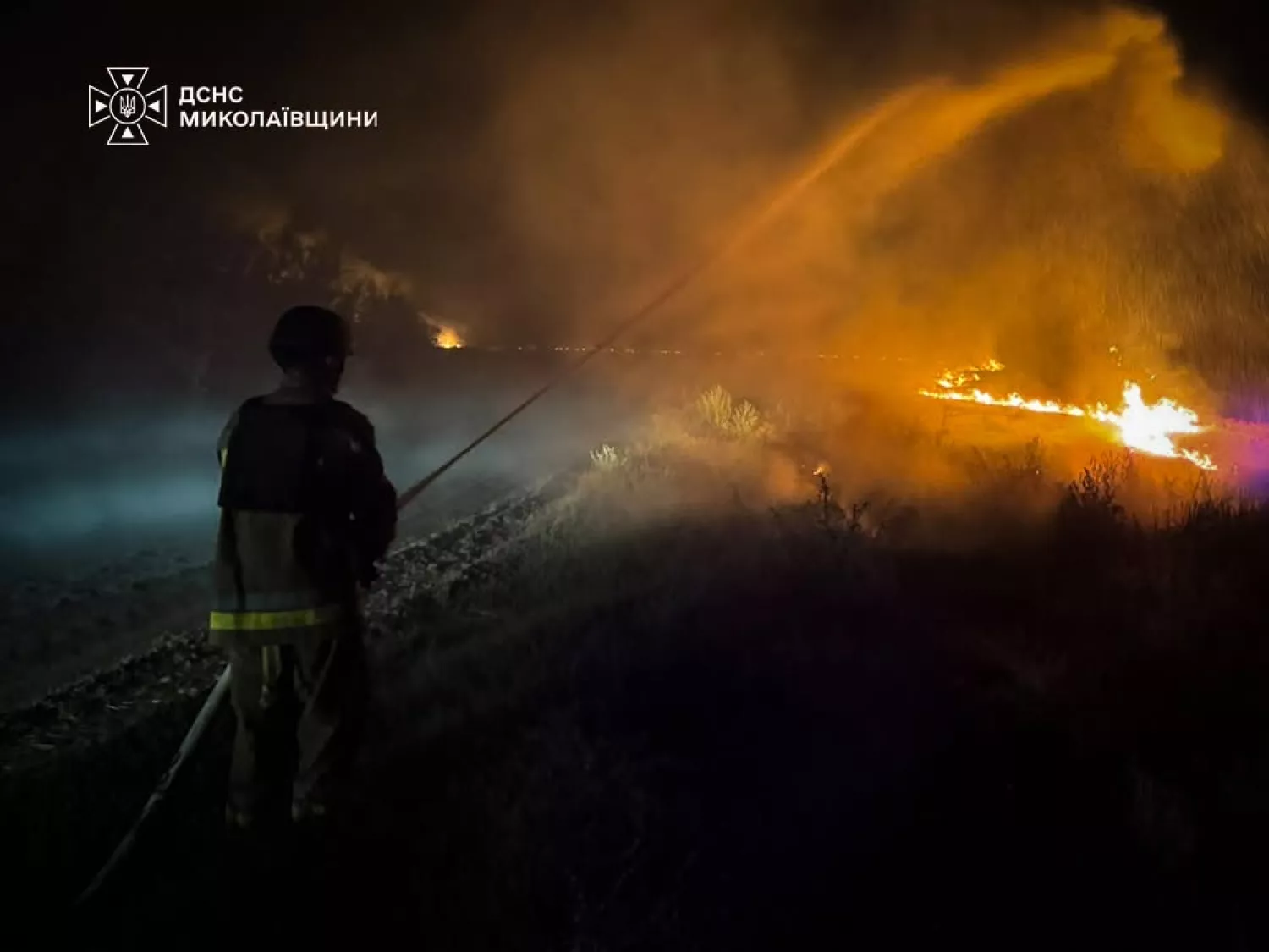 Пожежа у Миколаївській області. Фото: ДСНС
