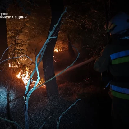Пожежа у Миколаївській області. Фото: ДСНС