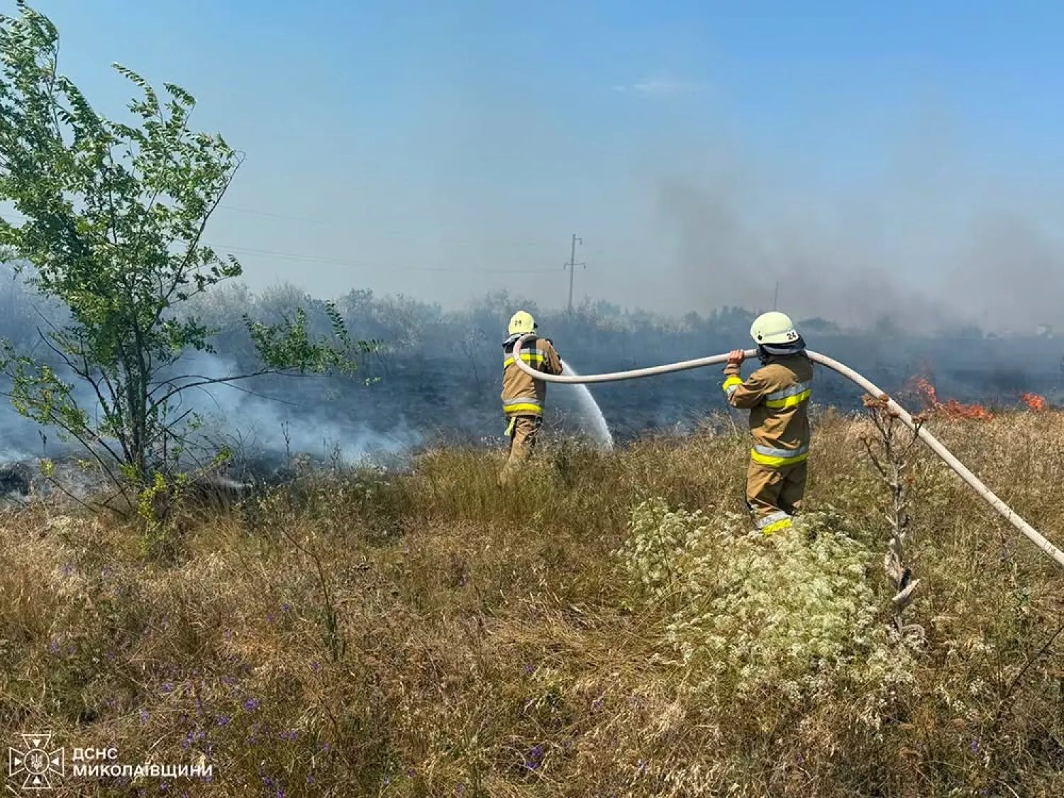 Пожежа у Миколаївській області. Фото: ДСНС